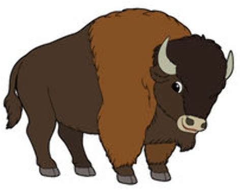 buffalo clip art